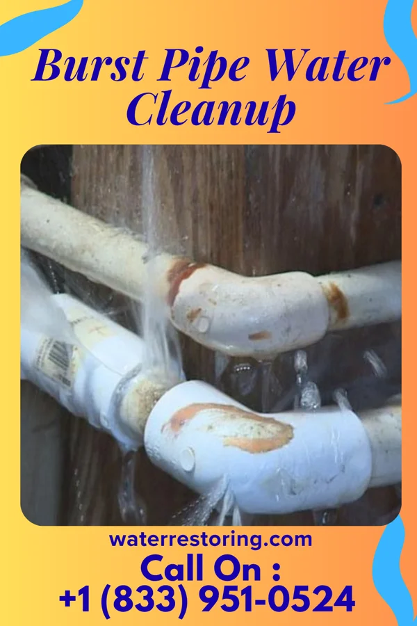 Burst Pipe Water Cleanup in Fairview, AL