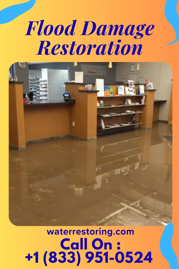 Flood Damage Restoration in Fairview, AL